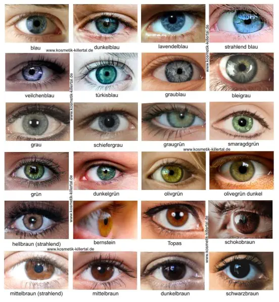 Normale Augenfarben für Farbtypen